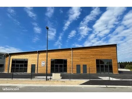 local artisanal / commercial / stockage / garage de 138 50 m² ou 230 m²