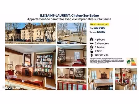 appartement de caractère avec vue imprenable sur la saône à saisir / ile saint-laurent à c