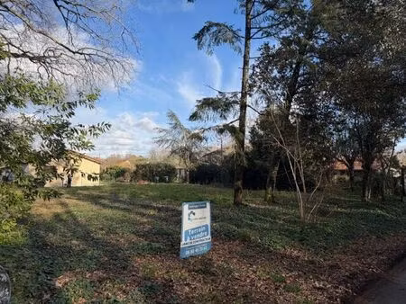 magnifique terrain à batire libre de constructeur