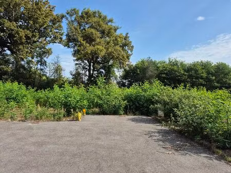 magnifique terrain viabilisé libre de constructeur