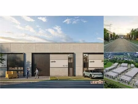 surface commerciale à louer à steenweg 6a welle (rbv45814)