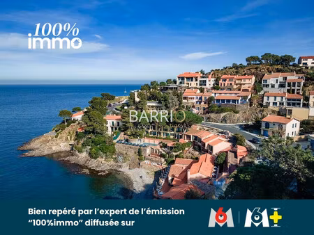 maison à collioure ? vue mer & village ? adresse d'exception