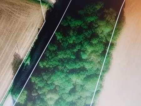 domaine forestier saint vran