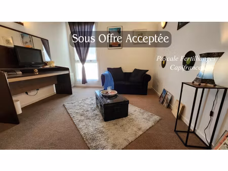 appartement à vendre idron 1 pièce(s) 20m2 64 000€