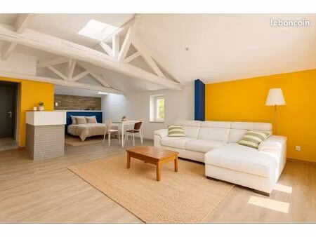 appartement loft 53 m² meublé