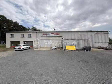 vente immeuble à écommoy (72220) : à vendre / 660m² écommoy
