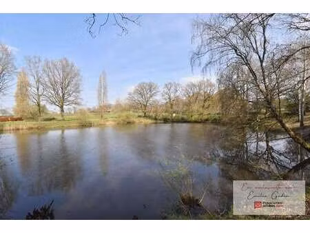 vente terrain à la plaine (49360) : à vendre / 11556m² la plaine