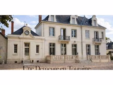 propriété avec piscine et jardin tours (37)