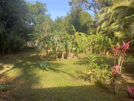 terrain plat avec accès direct plage et rivière