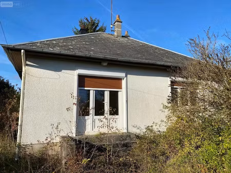 vente maison 3 pièces 54 m² à pellevoisin (36180)  59 500 €