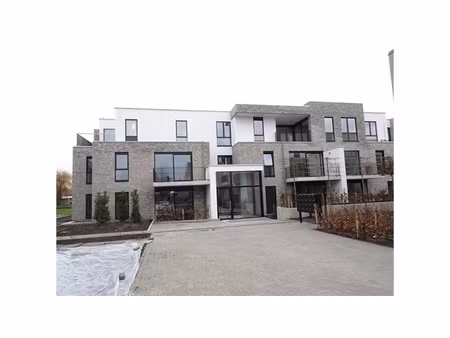 appartement te huur in hoogstraten met 2 slaapkamers