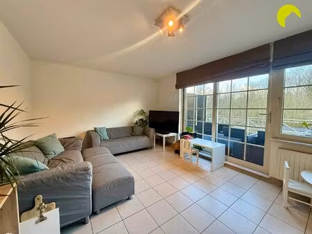 appartement te huur in rumst met 2 slaapkamers