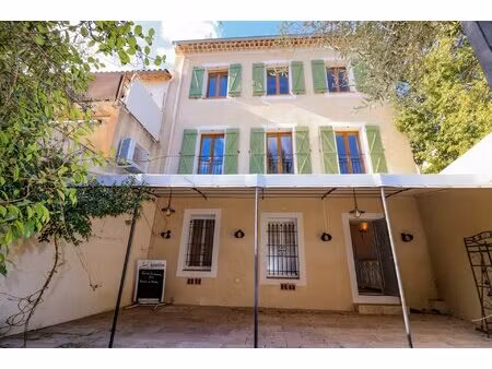 immeuble à usage mixte commercial et habitation 200m2 avec terrasse et jardin