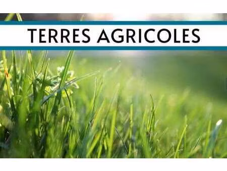 vente terrain à genêts (50530) : à vendre / genêts
