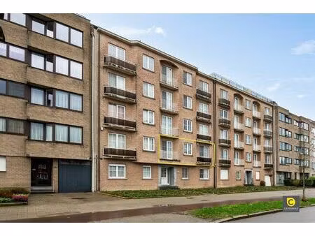 appartement: 3 slk.   t en p   a-label