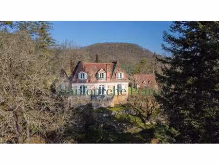 maison de luxe à vendre à saint-cyprien : 770 000 € | 196m²