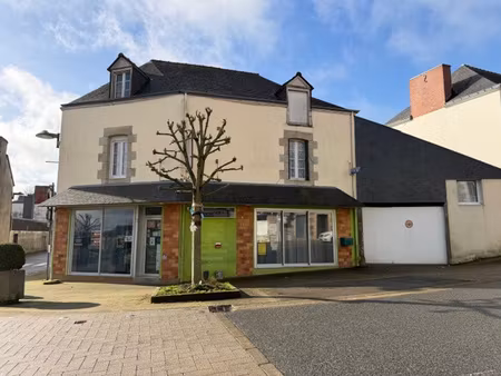 achat maison 9 pièces 228m² brehan 56580