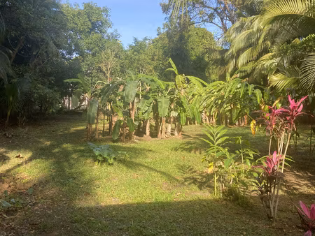 terrain plat avec accès direct plage et rivière