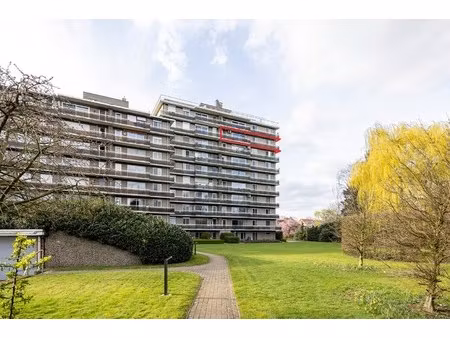 appartement te koop in ekeren met 3 slaapkamers