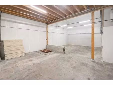 local d'activités de 115m² rénové à st consorce