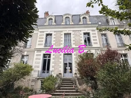 vente maison 11 pièces 302 m² tours (37000)