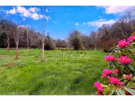 terrain à vendre quimper 7138m2 32 000€