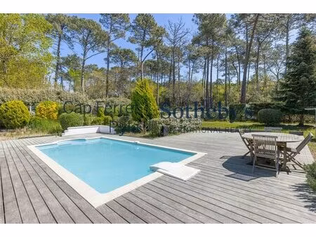 pyla sur mer - magnifique villa en lisière de forêt