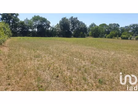 vente terrain à vallans (79270) : à vendre / 5685m² vallans