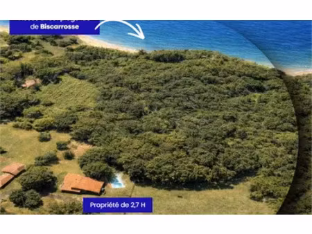 parentis-en-born (40160)