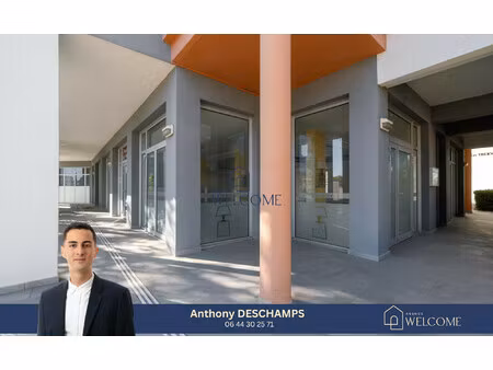 immobilier professionnel à vendre balaruc-les-bains