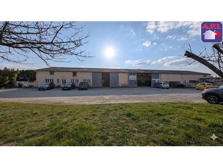 vente local industriel 17 pièces 884 m² deyme (31450)