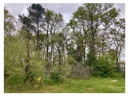 vente terrain 919 m² ludon-médoc (33290)