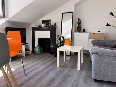 exclusivite ' le cane '