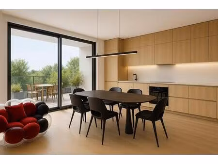 ideal premier achat! au calme - petite residence - grande terrasse plein sud - re2020