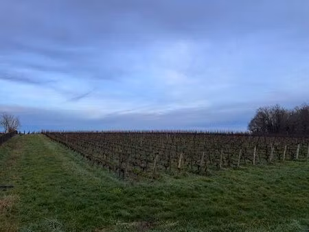 vente terrain à construire 550 m² montussan (33450)