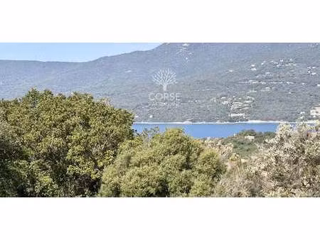 terrain propriano (2a)