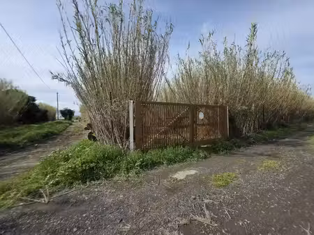 vente terrain villelongue-de-la-salanque 66410 - - surface privée