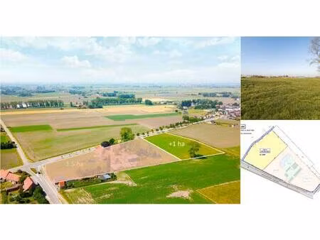 terrain agricole à vendre à lappersfortstraat 31 dixmude (rbv45925)