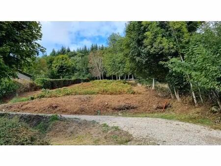 vente terrain 1396 m² la versanne (42220)