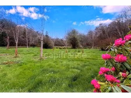 vente terrain à quimper (29000) : à vendre / 7138m² quimper
