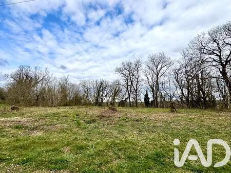vente terrain à paulin (24590) : à vendre / 7404m² paulin