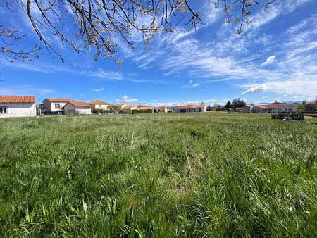 vente terrain 1215 m² bains (43370)