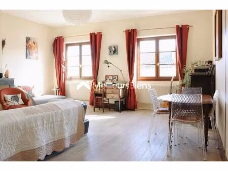 magnifique appartement ancien 91 m² avec cave et stationnement