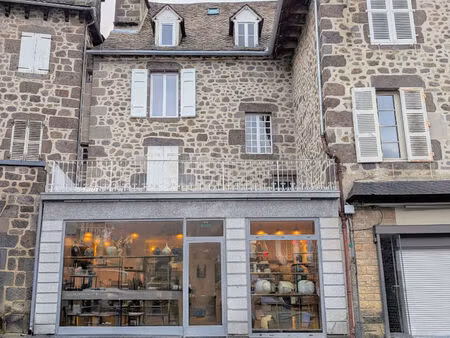 immeuble vic-sur-cere  4 lots