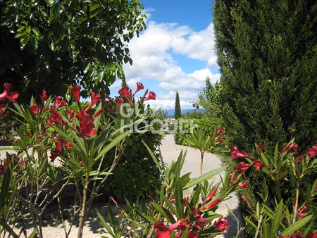 vente maison 18 pièces 300 m² villeneuve-de-berg (07170)
