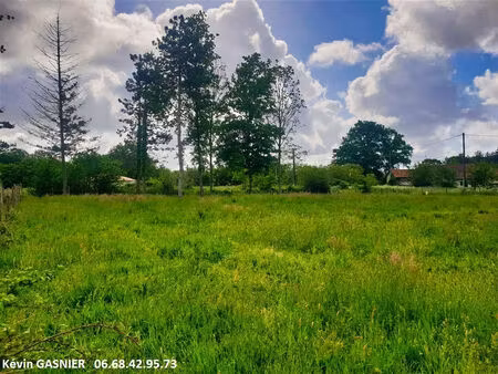 vente terrain 19380 m² chazelles (16380)