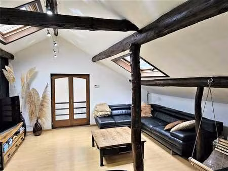 appartement(pas de voisin) ds ferme rénovée