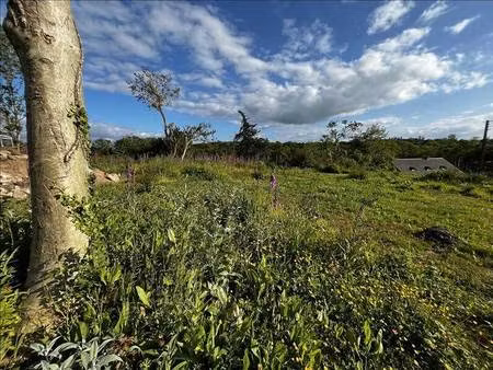 terrain constructible à vendre