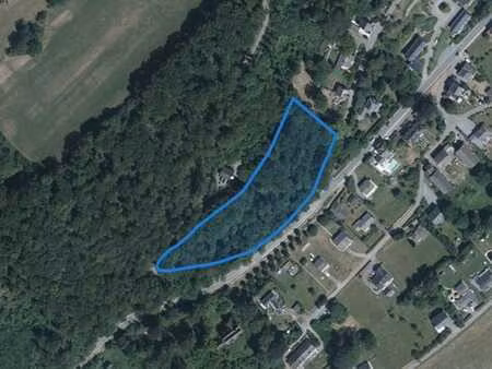 bomal-sur-ourthe - terrain boisé (zone d'habitat) de 7.729m²