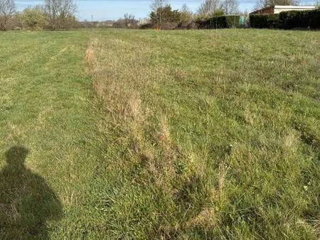 terrain à vendre